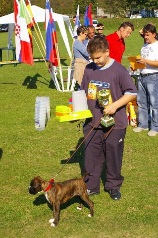 www.boxer-show.eu